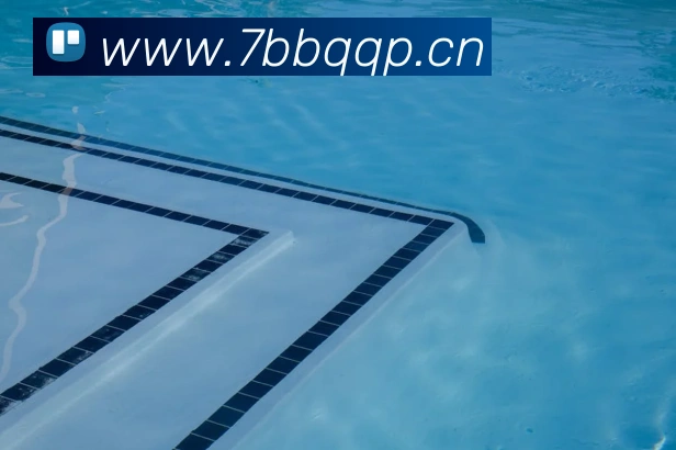 星空官方网站平台品牌故事